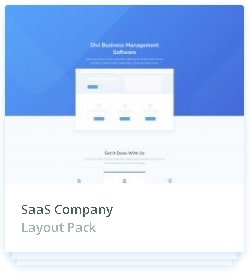 SaaS Company