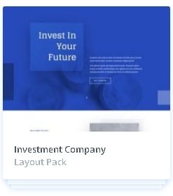 investment company